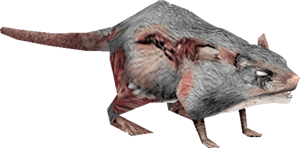 FEAR rat
